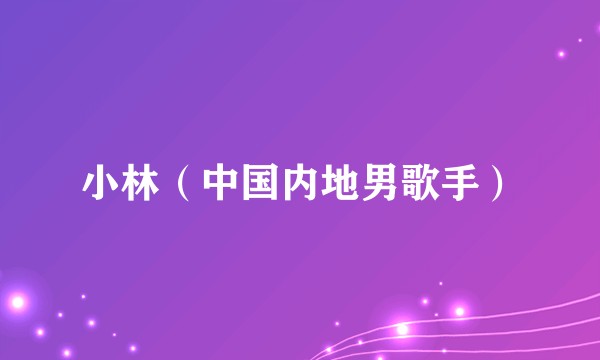 小林(中国内地男歌手)