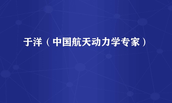 于洋（中国航天动力学专家）
