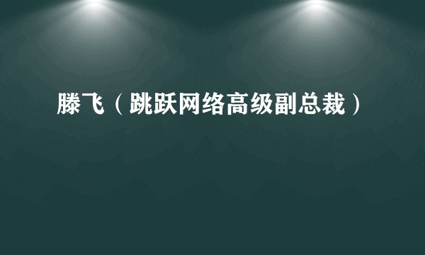 滕飞（跳跃网络高级副总裁）