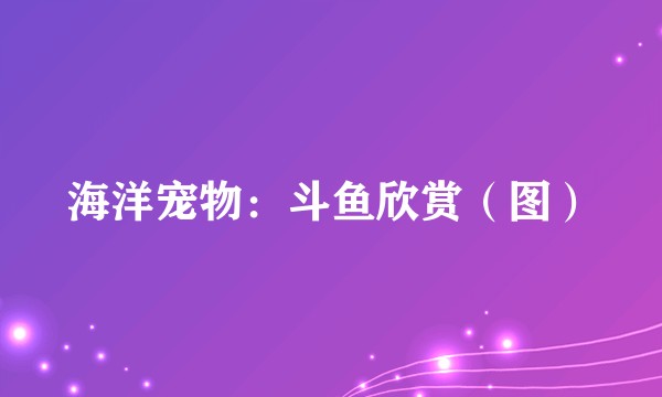 海洋宠物：斗鱼欣赏（图）