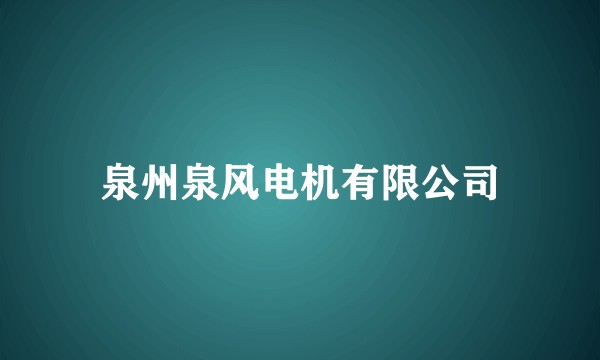 泉州泉风电机有限公司