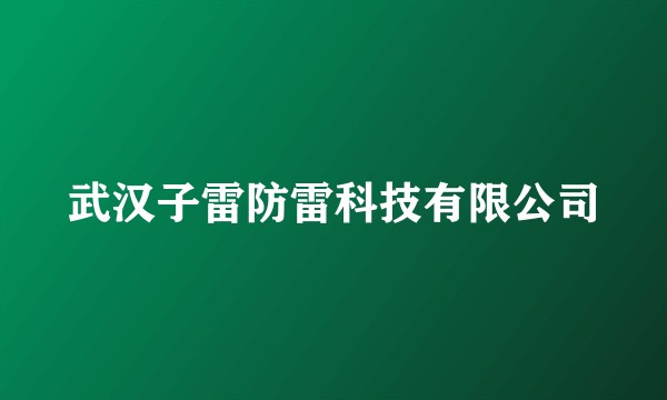 武汉子雷防雷科技有限公司