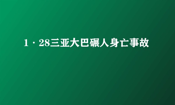 1·28三亚大巴碾人身亡事故