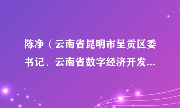 陈净(云南省昆明市呈贡区委书记、云南省数字经济开发区党工委书记)