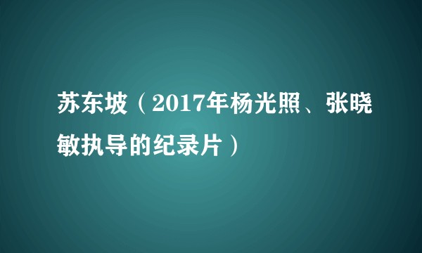 苏东坡（2017年杨光照、张晓敏执导的纪录片）