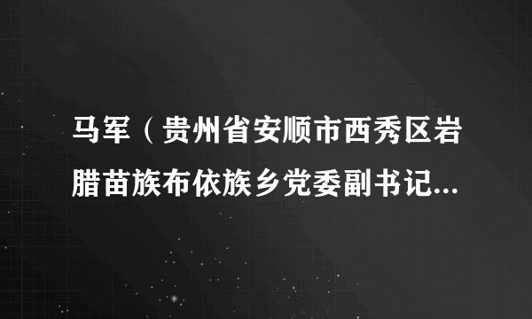 马军（贵州省安顺市西秀区岩腊苗族布依族乡党委副书记、副乡长）