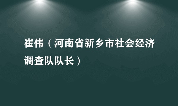 崔伟(河南省新乡市社会经济调查队队长)