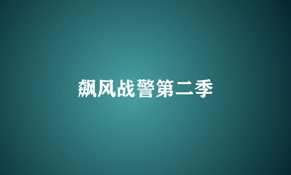 飙风战警第二季