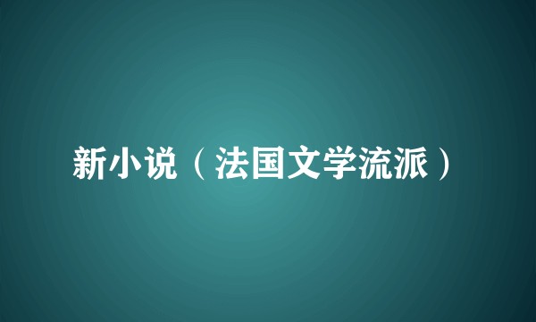 新小说（法国文学流派）