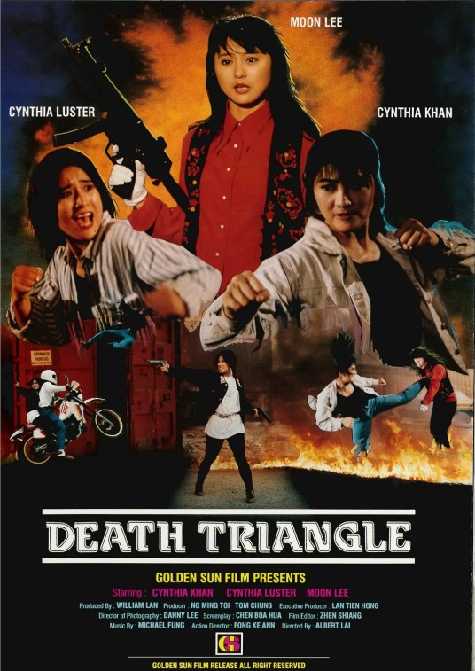 末路狂花（1993年李赛凤、杨丽菁主演的动作电影）