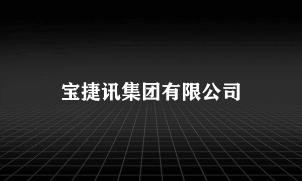 宝捷讯集团有限公司