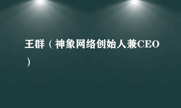 王群（神象网络创始人兼CEO）