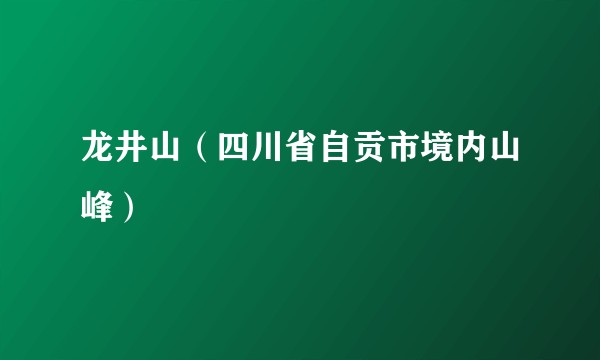 龙井山（四川省自贡市境内山峰）