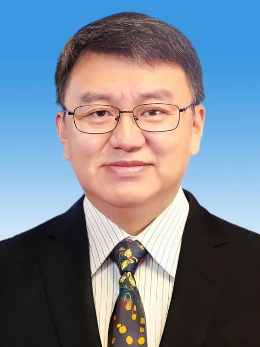 王海波(中国电子科技集团有限公司董事长、党组书记)