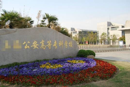 专科（高等学校的学历层次之一）