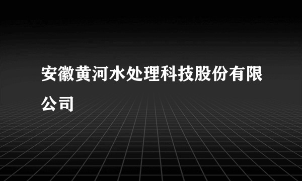 安徽黄河水处理科技股份有限公司
