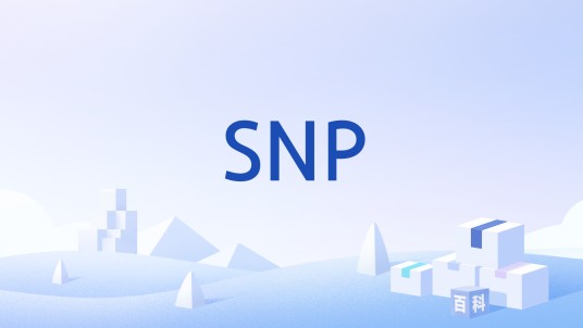 SNP（通信协议）
