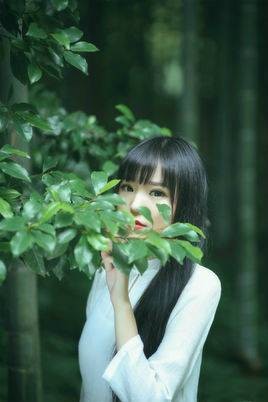 清弄（内地女歌手）
