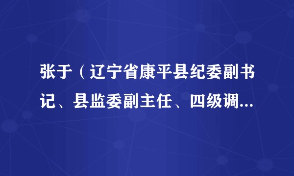 张于（辽宁省康平县纪委副书记、县监委副主任、四级调研员、四级高级监察官）