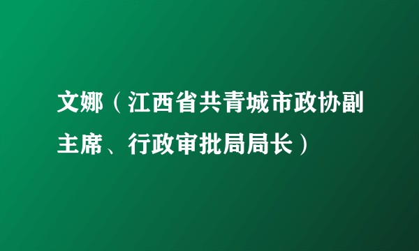 文娜（江西省共青城市政协副主席、行政审批局局长）