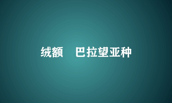 绒额鳾巴拉望亚种