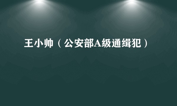 王小帅(公安部A级通缉犯)