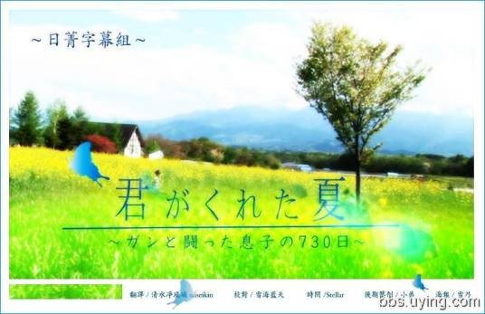 你给我的夏天(日本2007年雨宫望执导的家庭剧)