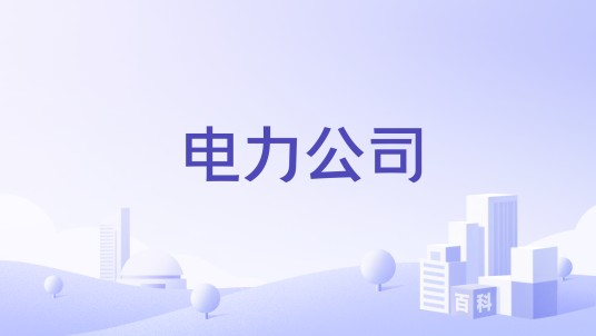 电力公司（从事电力生产与供应的企业实体）