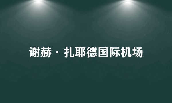 谢赫·扎耶德国际机场