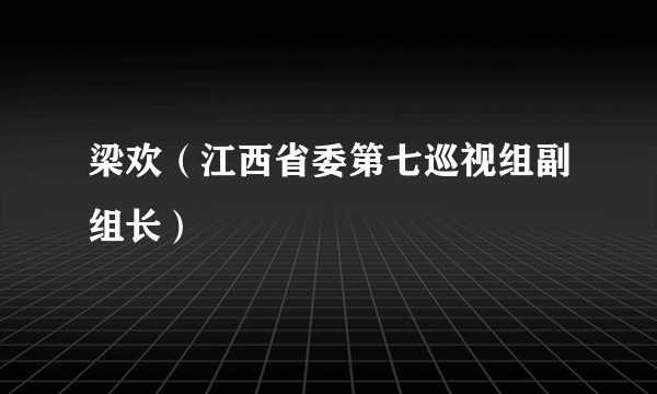 梁欢（江西省委第七巡视组副组长）
