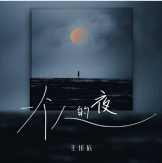 一个人的夜(王忻辰演唱的歌曲)