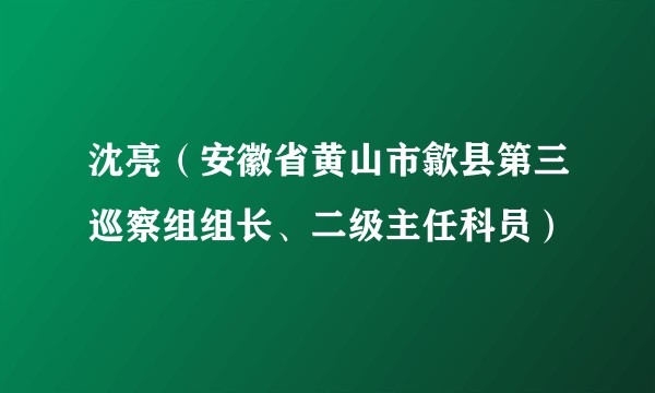 沈亮（安徽省黄山市歙县第三巡察组组长、二级主任科员）