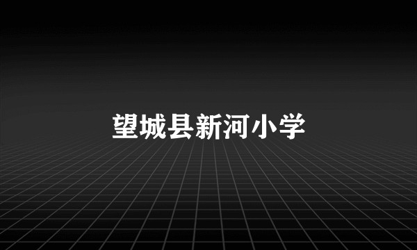 望城县新河小学