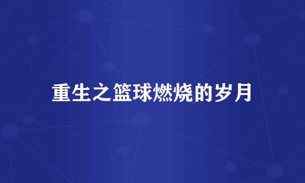 重生之篮球燃烧的岁月