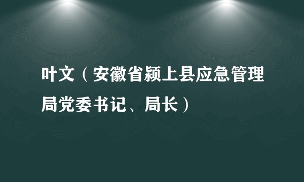 叶文（安徽省颍上县应急管理局党委书记、局长）