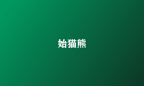 始猫熊