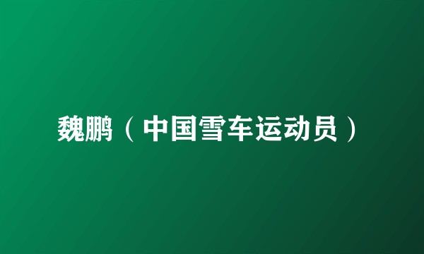 魏鹏（中国雪车运动员）
