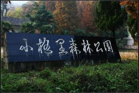 小格里森林公园