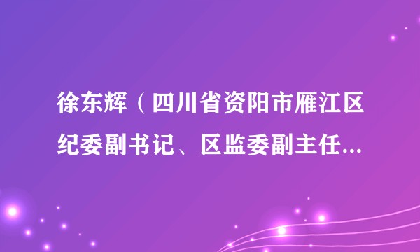 徐东辉（四川省资阳市雁江区纪委副书记、区监委副主任、一级主任科员）