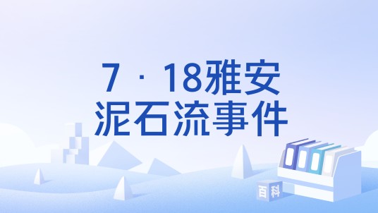7·18雅安泥石流事件