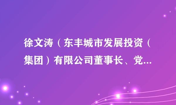 徐文涛(东丰城市发展投资(集团)有限公司董事长、党委书记、总经理)