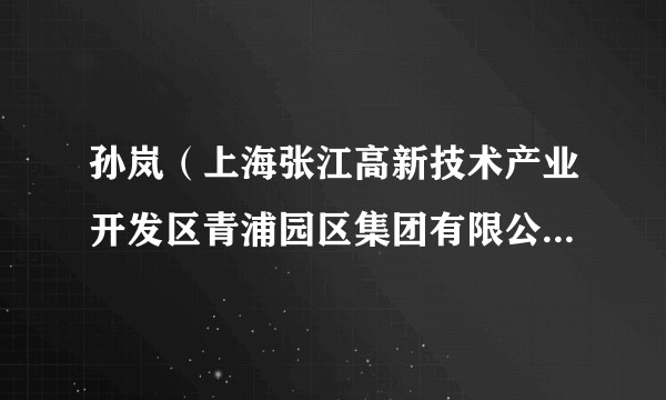 孙岚(上海张江高新技术产业开发区青浦园区集团有限公司计财部部长)