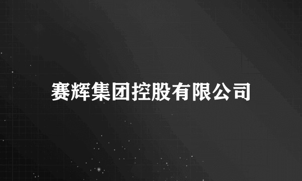 赛辉集团控股有限公司