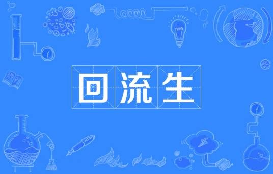 回流生