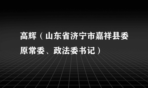 高辉(山东省济宁市嘉祥县委原常委、政法委书记)