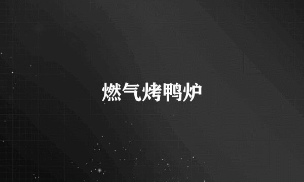 燃气烤鸭炉