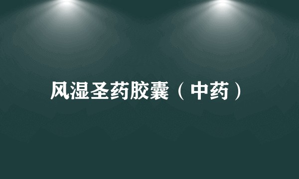 风湿圣药胶囊（中药）