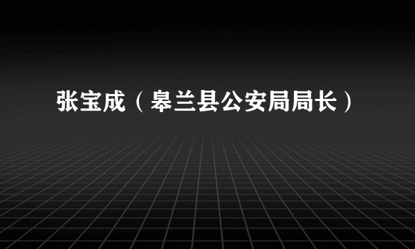 张宝成（皋兰县公安局局长）
