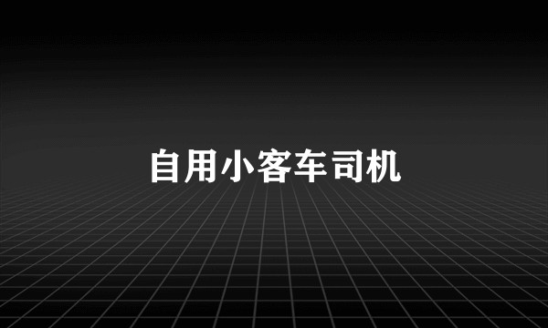 自用小客车司机