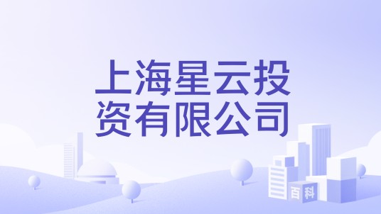 上海星云投资有限公司
